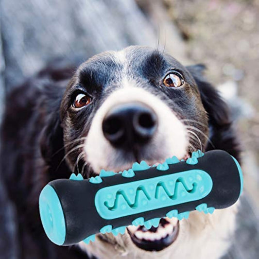 Best Toys to Reduce Dog Separation Anxiety Fast
